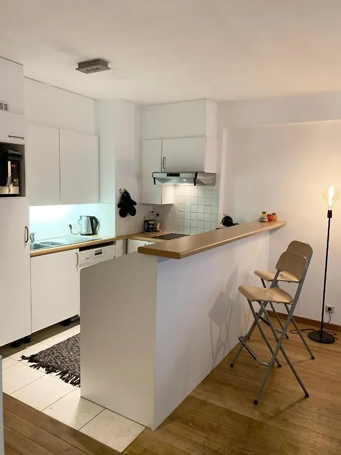 Cosy Apartment Inner City Gent